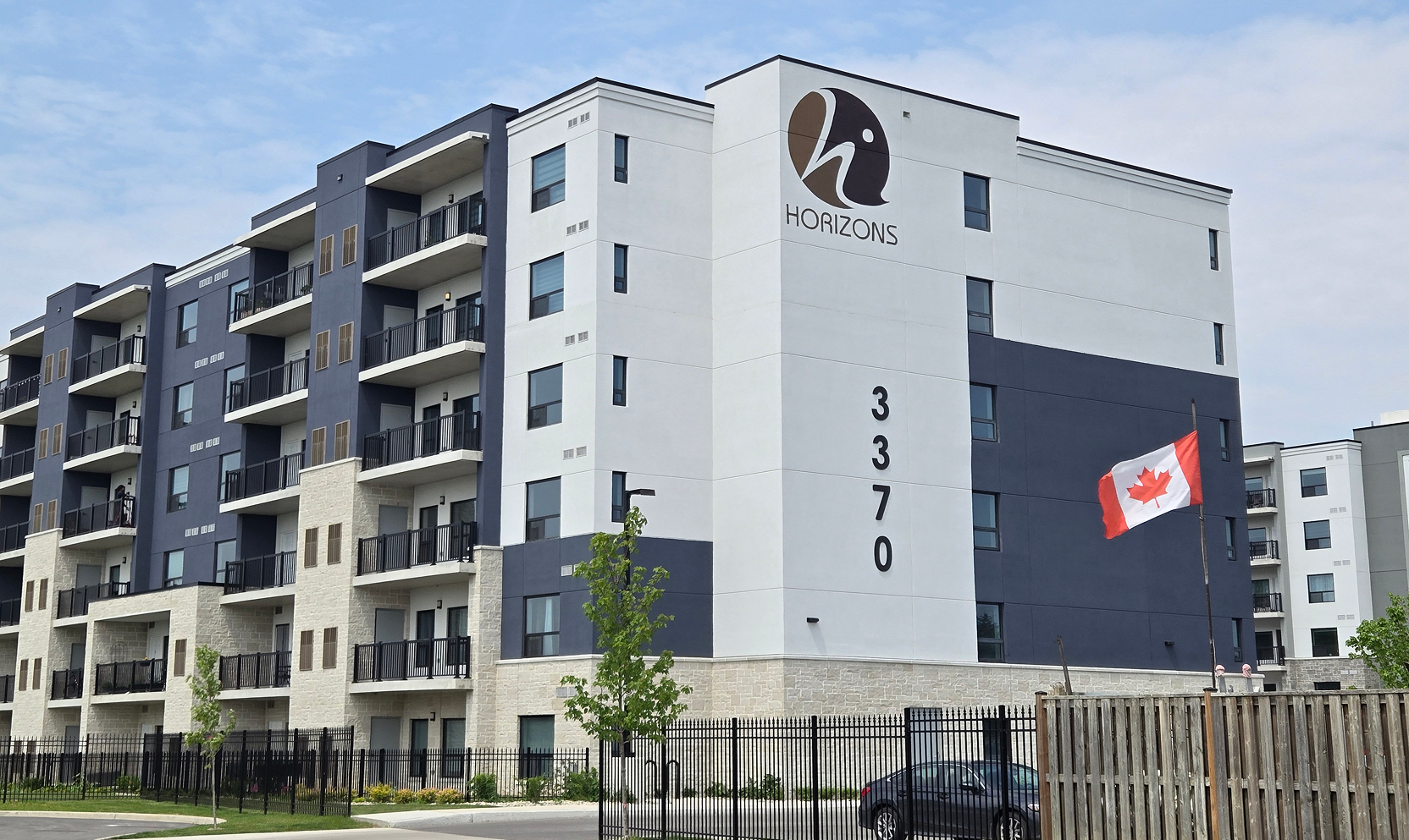 Forest Glade Horizons